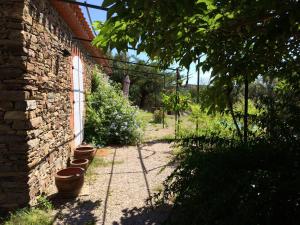 Maisons de vacances Maison d'une chambre avec piscine privee jardin et wifi a Montauriol : photos des chambres