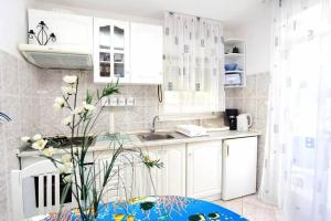 2 bedrooms appartement at Vinisce 60 m away from the beach with wifi