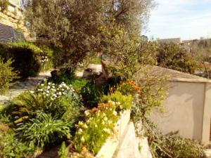 Maisons de vacances Maison de 2 chambres avec jardin clos et wifi a Toulon a 4 km de la plage : photos des chambres