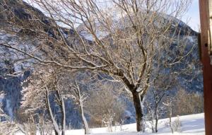 Chalets Chalet chaleureux a Saint-Andre avec vue sur montagne : photos des chambres