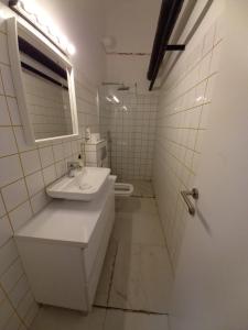 Brickloft in the heart of Belgrade