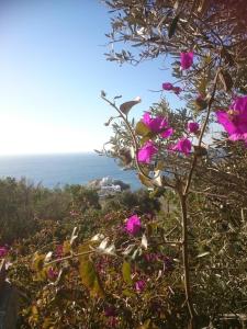 Stunning House - Sleeps 11 Terrace & Sea View