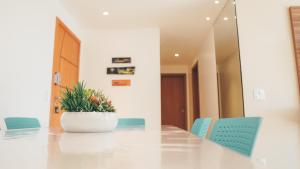 lebon vivant arraial do Cabo praia grande