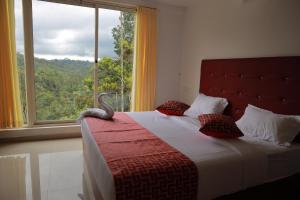 Nature Clouds Resort