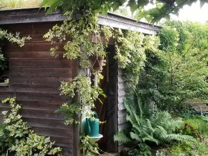 B&B / Chambres d'hotes chambre d'hotes de charme, un temps en foret : photos des chambres