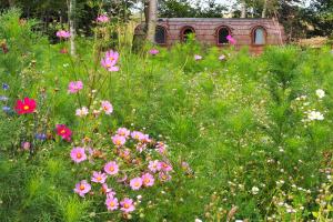 Les Cocons dArdenne - Hébergement insolite