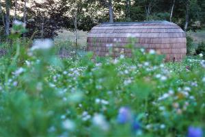 Les Cocons dArdenne - Hébergement insolite
