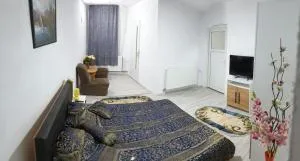 Casa Cristea - Seleuşu-Mare