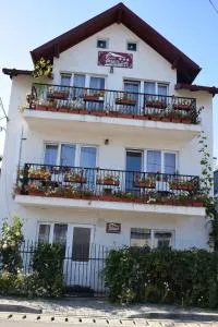 Casa Emilia - Vatra Dornei