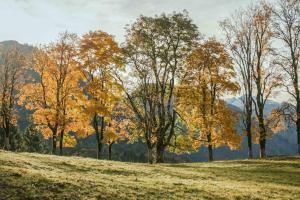 Ferienwohnungen Alpentraum - bergZeit
