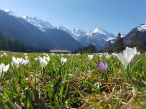 Ferienwohnungen Alpentraum - bergZeit