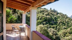 Amalias House