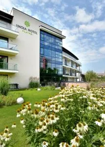 Imola Hotel Platán - 上塔尔卡尼