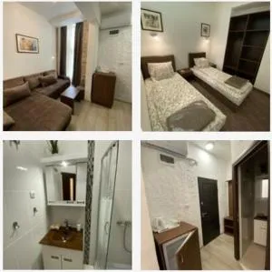 Apartmani Diksi 2 CENTAR - Mužlja