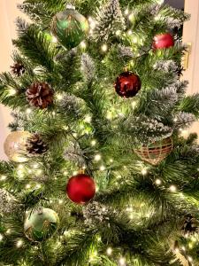 Residentie Rapallo Oostende with fantastic Sea View!