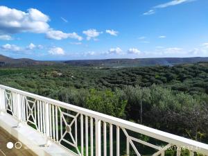 Villa Helens Olive Garden