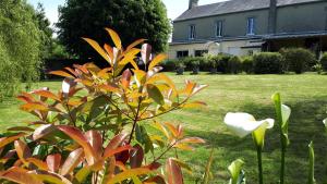 Maisons de vacances Le Verger de Mathurin : photos des chambres