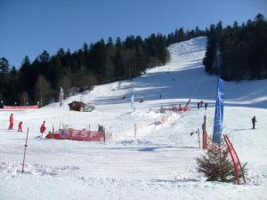 Appartements Comfy chalet with a dishwasher, in the High Vosges : photos des chambres