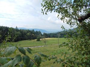 Maisons de vacances house perfect for hikers 10 miles from Gerardmer : photos des chambres