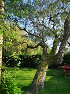 B&B / Chambres d'hotes LE DOMAINE DE COAT ROGAN, La chambre du Jaudy : photos des chambres