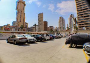 CABALLOS PREMIUM 16-F Levante Beach