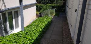 Ferienwohnung Blaue Nole