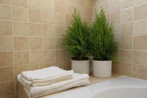 Villa Sofia Boutique Trakai