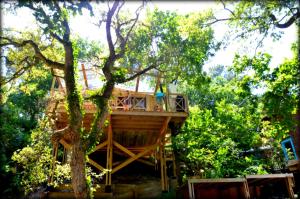 Villages vacances Village Nature et Ocean a cote de la plage avec piscine et jacuzzi : photos des chambres