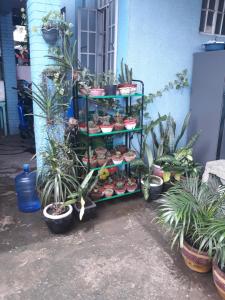 CVBNB GUESTHOUSE