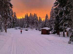 Auberges Le Relais Nordique : photos des chambres