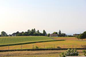 Comfortable studio in Bevaix with mountain view - 30 m² + Spa