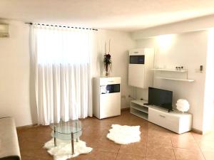 Charming Apartment in Novigrad, 45 sqm, with Terrace