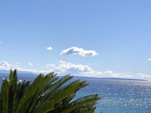 Charming Apartment in Novigrad 45 sqm with Terrace 