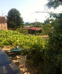 Charming apartment in Zambratija, 44 sqm, Parking included