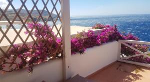 Apartment with one bedroom in Ormos Kardianis with wonderful sea view furnished terrace an Tinos Greece