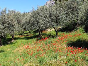 Charmante maison de vacances à La Roche-sur-le-Buis avec piscine
