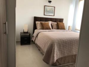 Luxury Apartment in Ibague N°2