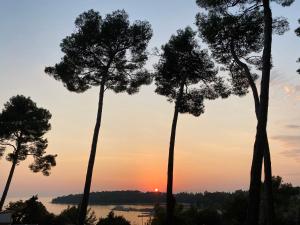 Mobile Home DIVINA Camp Porton Nature Hideouts