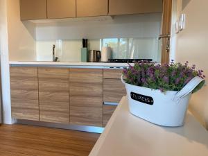 Mobile Home DIVINA Camp Porton Nature Hideouts