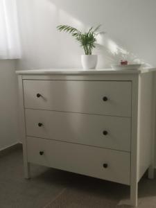 Erdei Apartman Hajdúszoboszló