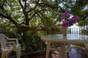 Уютная квартира в тени старого дуба