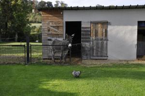 Maisons de vacances La maison du Bonheur 