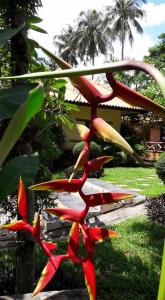 Seabreeze Hotel Kohchang