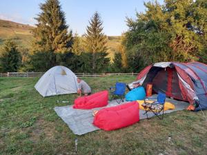 Camping Nad Karpatamy SPA