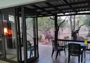 Coga Cottage - Marloth Park