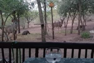 Coga Cottage - Marloth Park