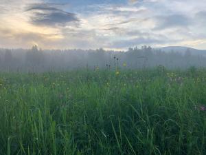 Kruszyna - domek z widokiem na połoniny