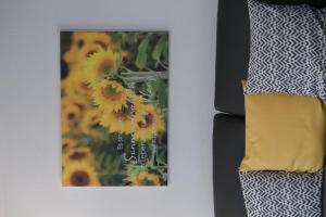 Ferienwohnungen Hasenknuck