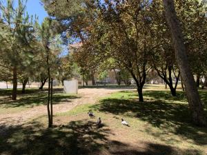 FLH Cascais Posh Apartment