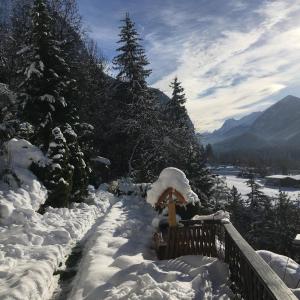 Appartement Birkheim